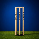 Spring Base Stumps