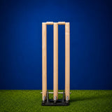 Spring Base Stumps