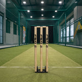 Spring Base Stumps