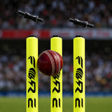 Heavy Base Wicket (Stump)