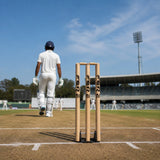 Spring Base Stumps