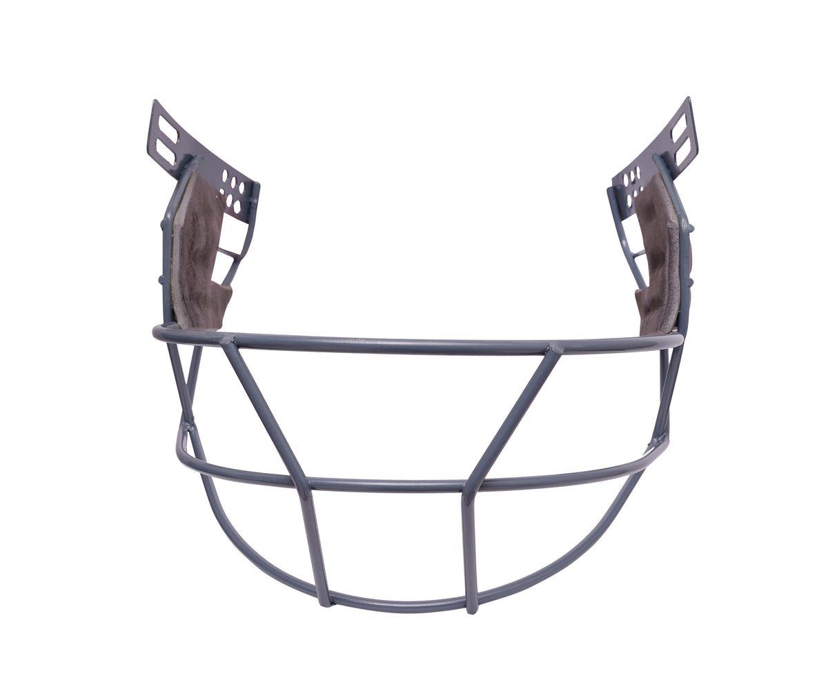 Cricket Helmet (Blue)