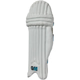 BATTING PADS - DIAMOND 404